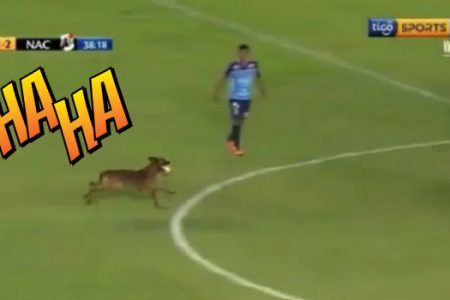 Este perrito decidió entrar a la cancha y ser parte de un partido de futbol