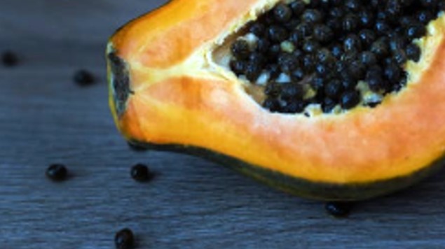 beneficios semillas papaya