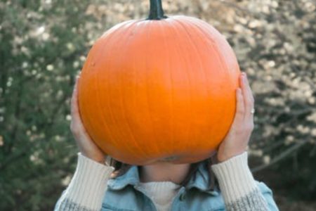Beneficios de la calabaza que pones en la ofrenda de muertos
