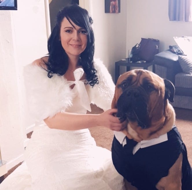 boda-dueños-perro
