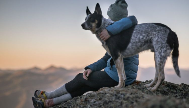 perro beneficios salud, cuidar la salud, membresía SOMOS