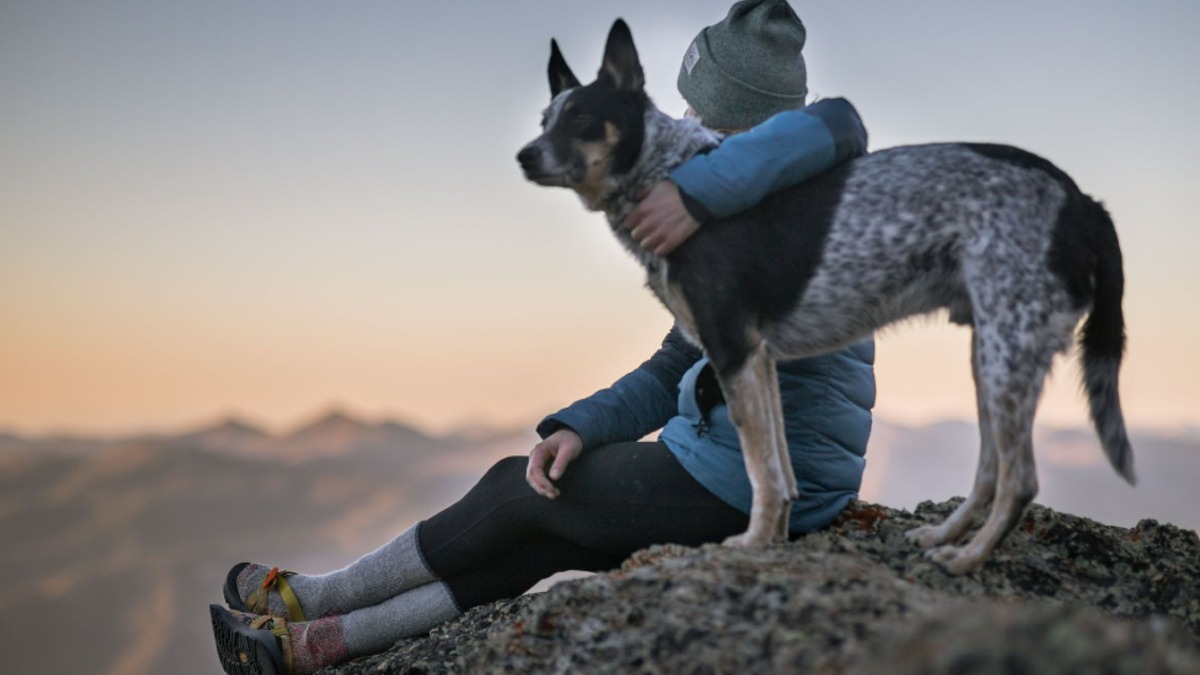 perro beneficios salud, cuidar la salud, membresía SOMOS