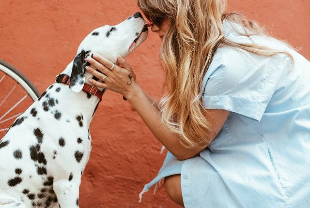 Mascota (Pexels)