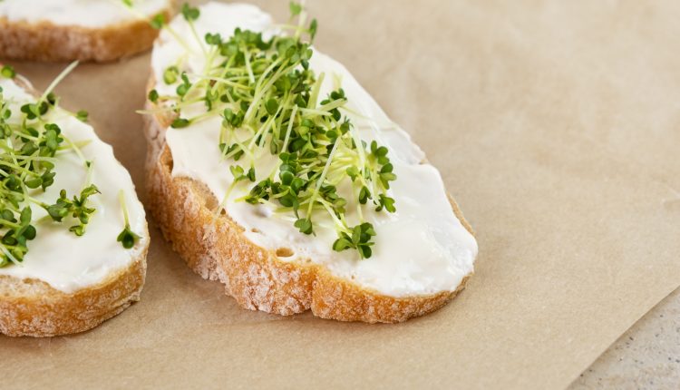 Recetas para preparar baguette