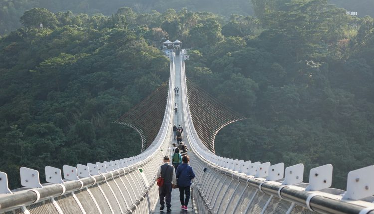 ¿Por qué aún no sé cómo vivir sin tu amor?